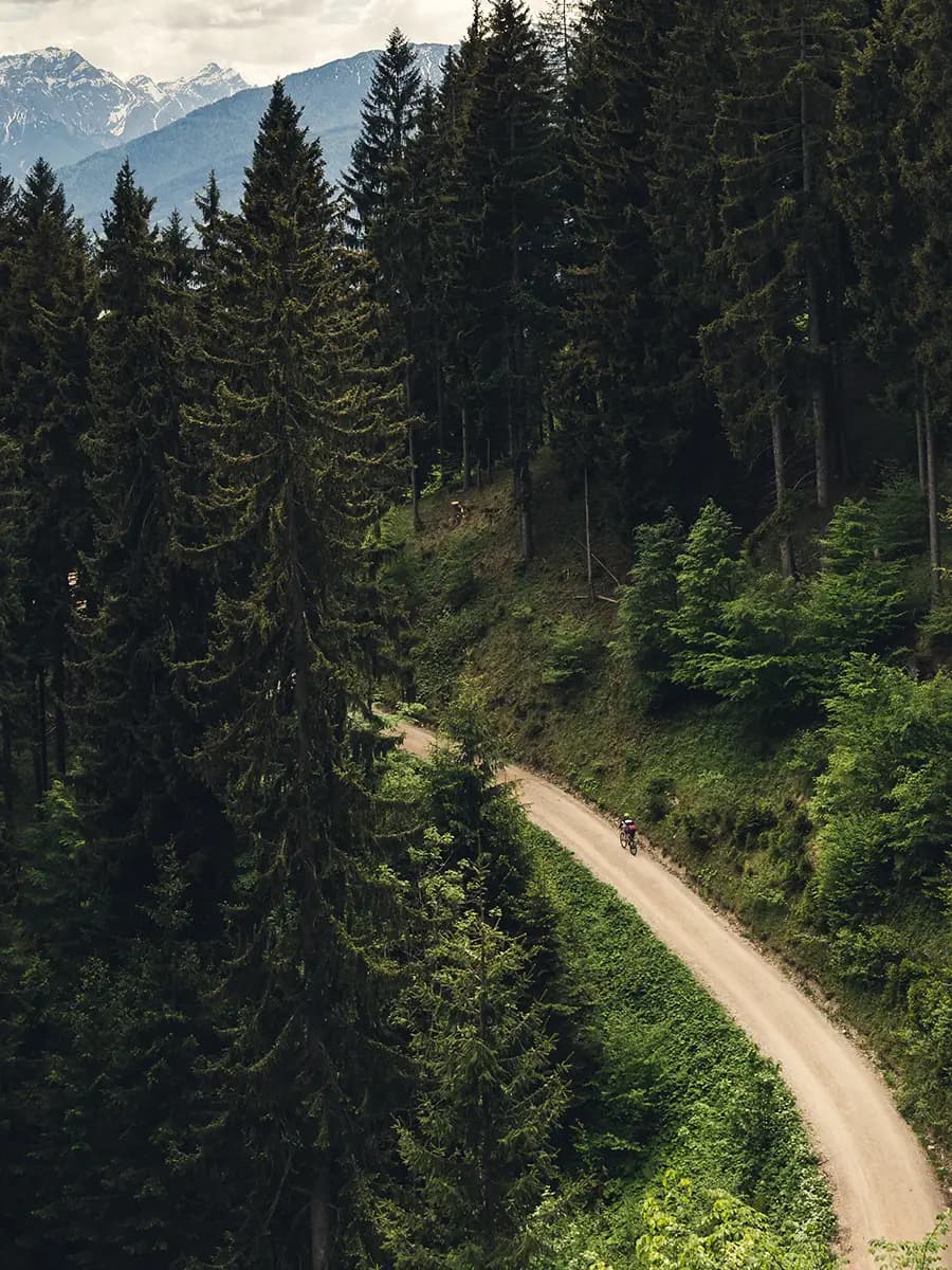 A mountain biker on a downhill trail in the Colorado high country