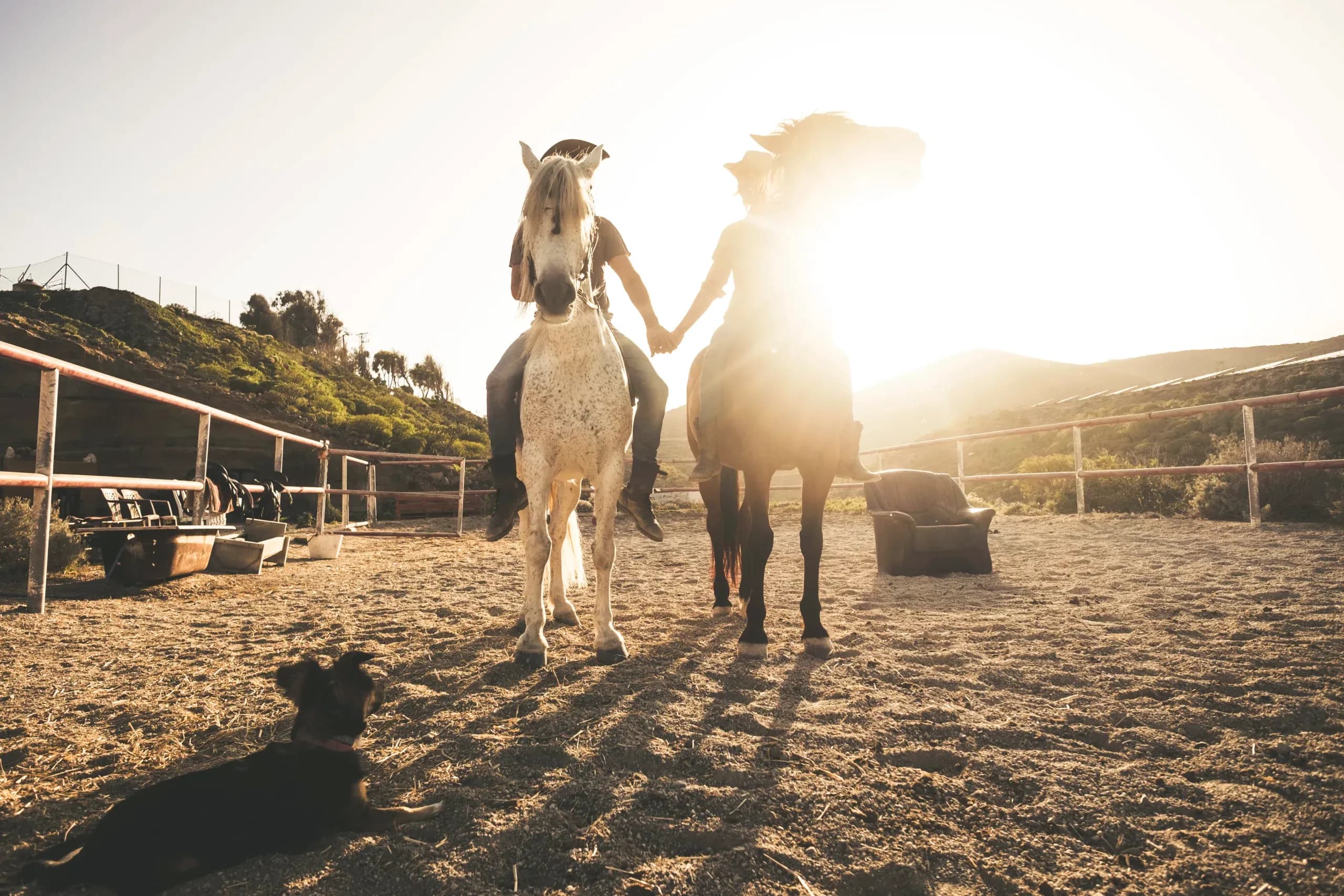 A rider competing at a mountain rodeo at dusk